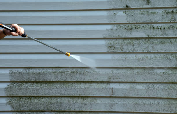 Trusted Eclectic, AL Pressure Washing Services Experts